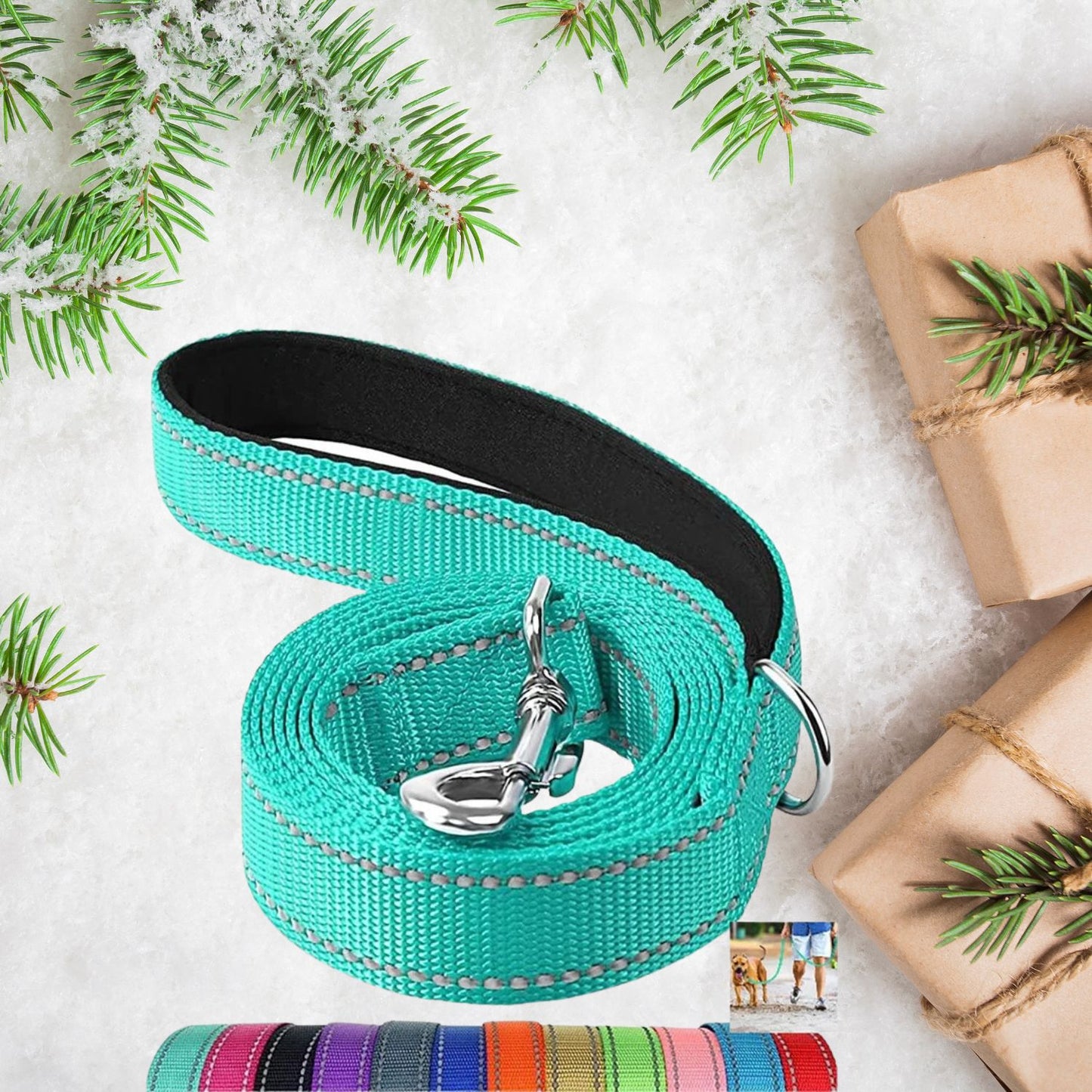 Reflective dog leash