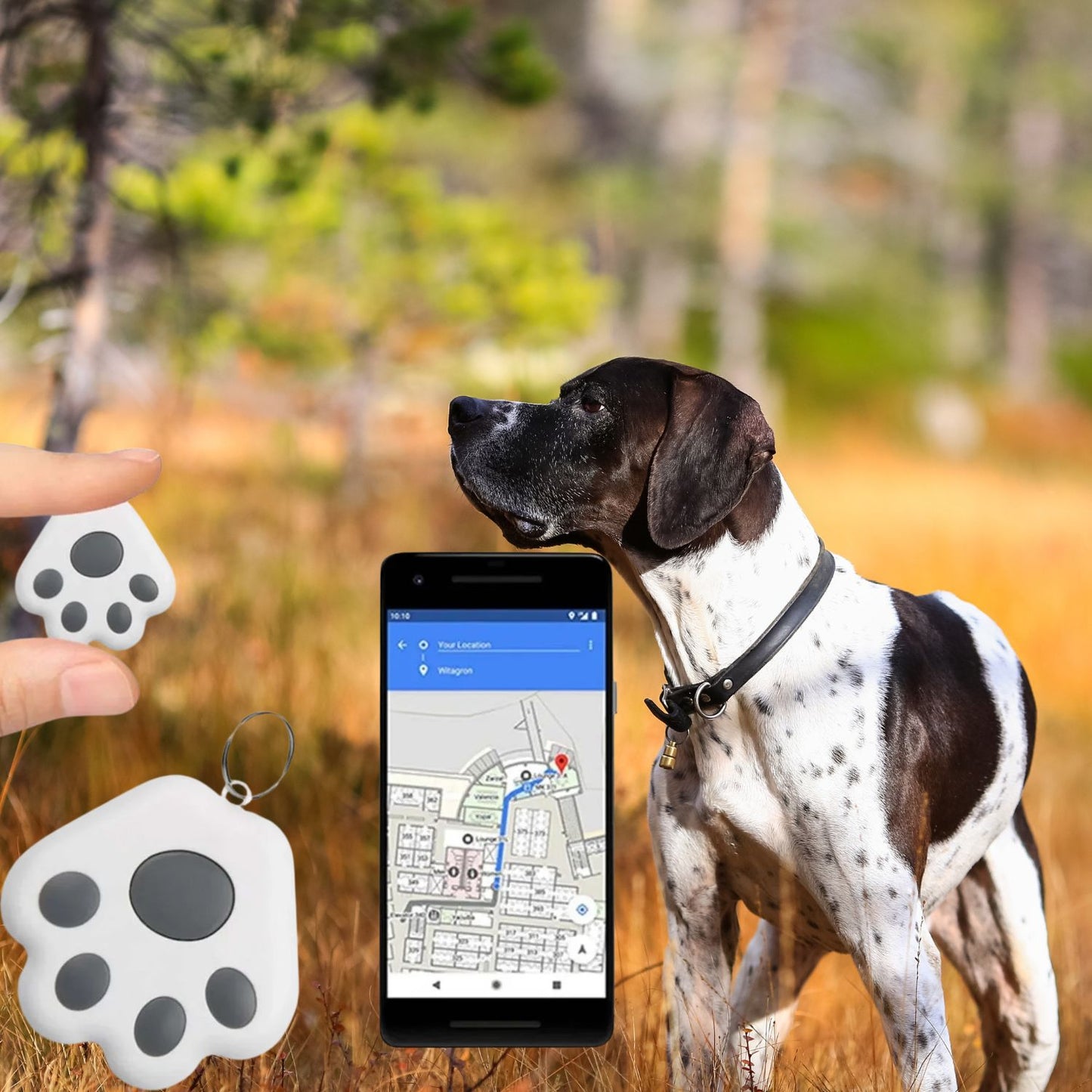 Mini GPS tracker for dogs