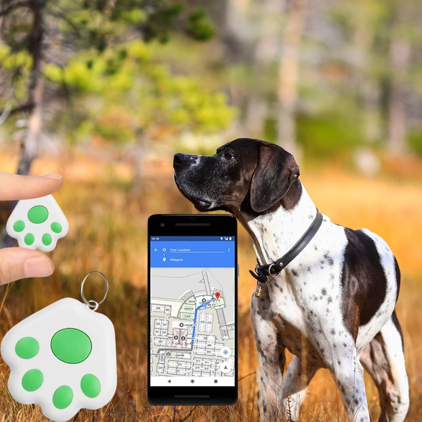 Mini GPS tracker for dogs