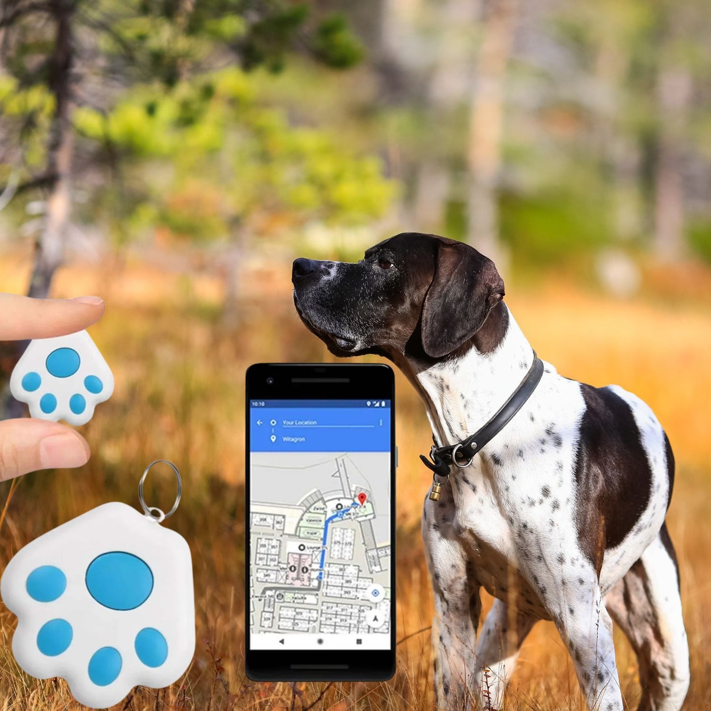 Mini GPS tracker for dogs