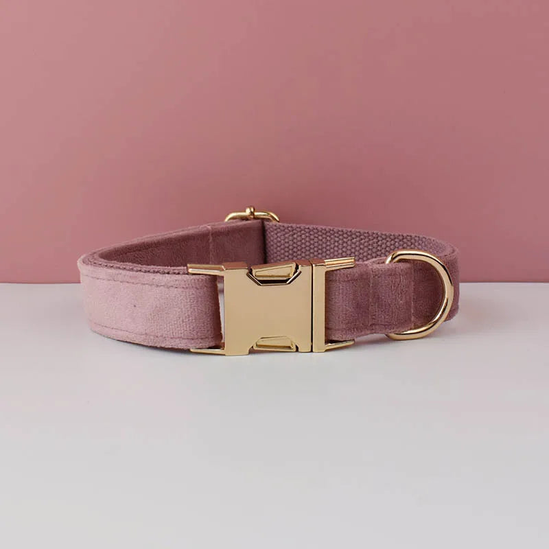 Customizable velvet collar with quick release buckle.