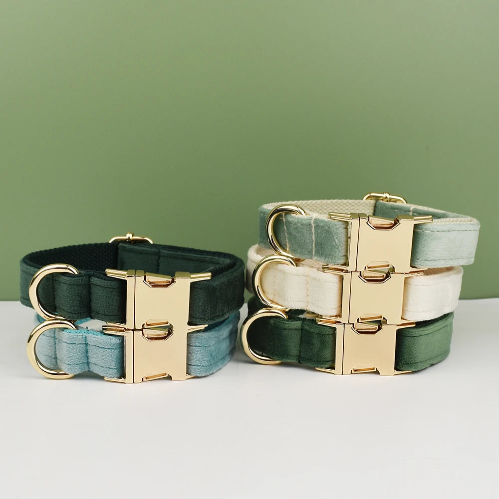 Customizable velvet collar with quick release buckle.