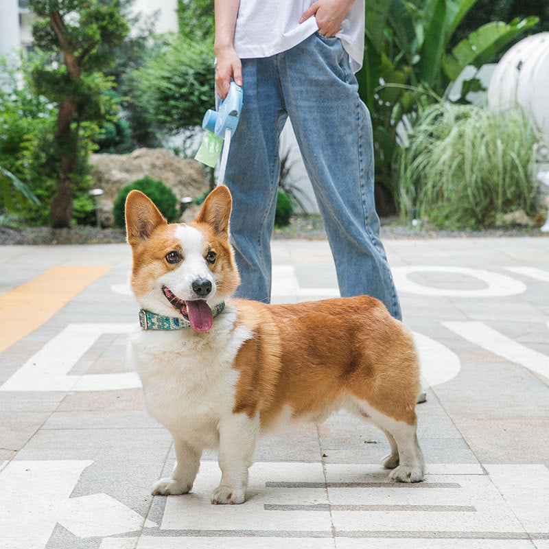 Multifunctional retractable nylon dog leash with built-in flashlight and poop bag dispenser.