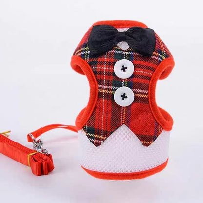 Original harness for small and medium dogs with chest strap and leash.