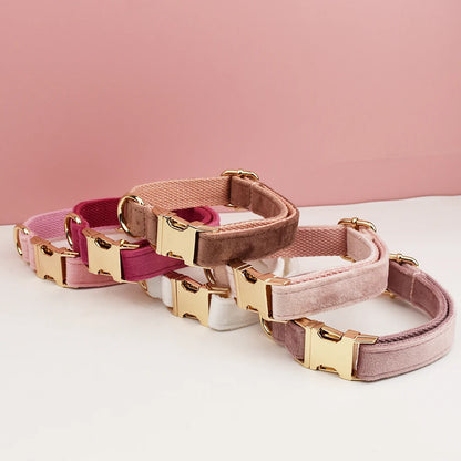 Customizable velvet collar with quick release buckle.