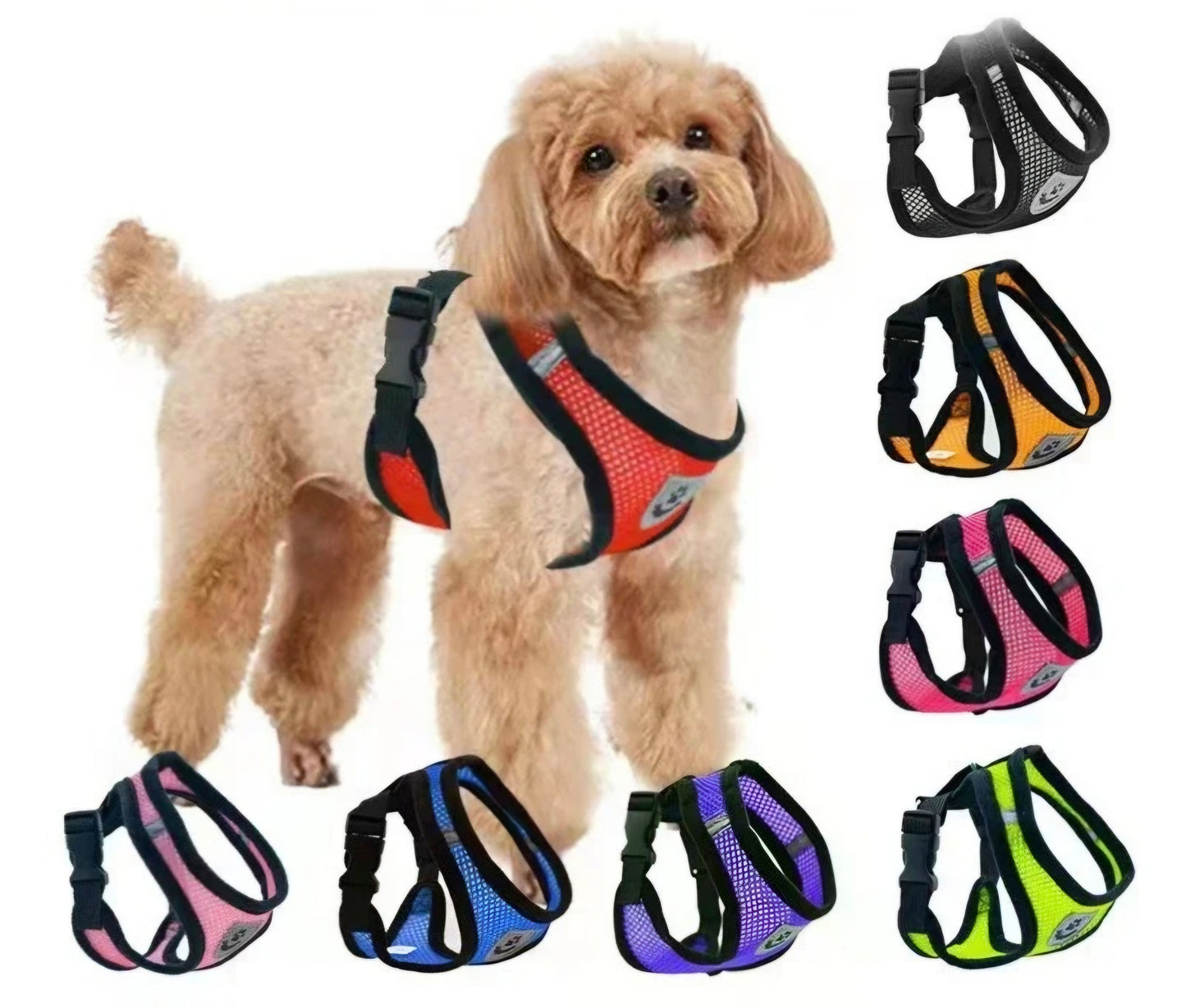 harness for small dog