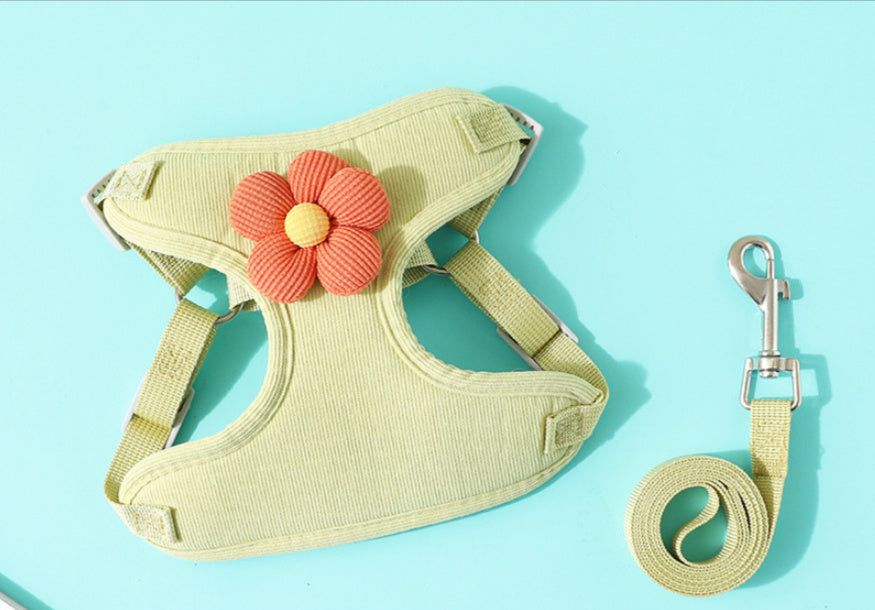 Original floral dog harness with leash.