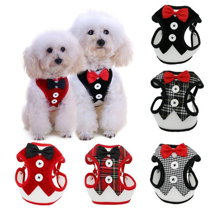 Original harness for small and medium dogs with chest strap and leash.