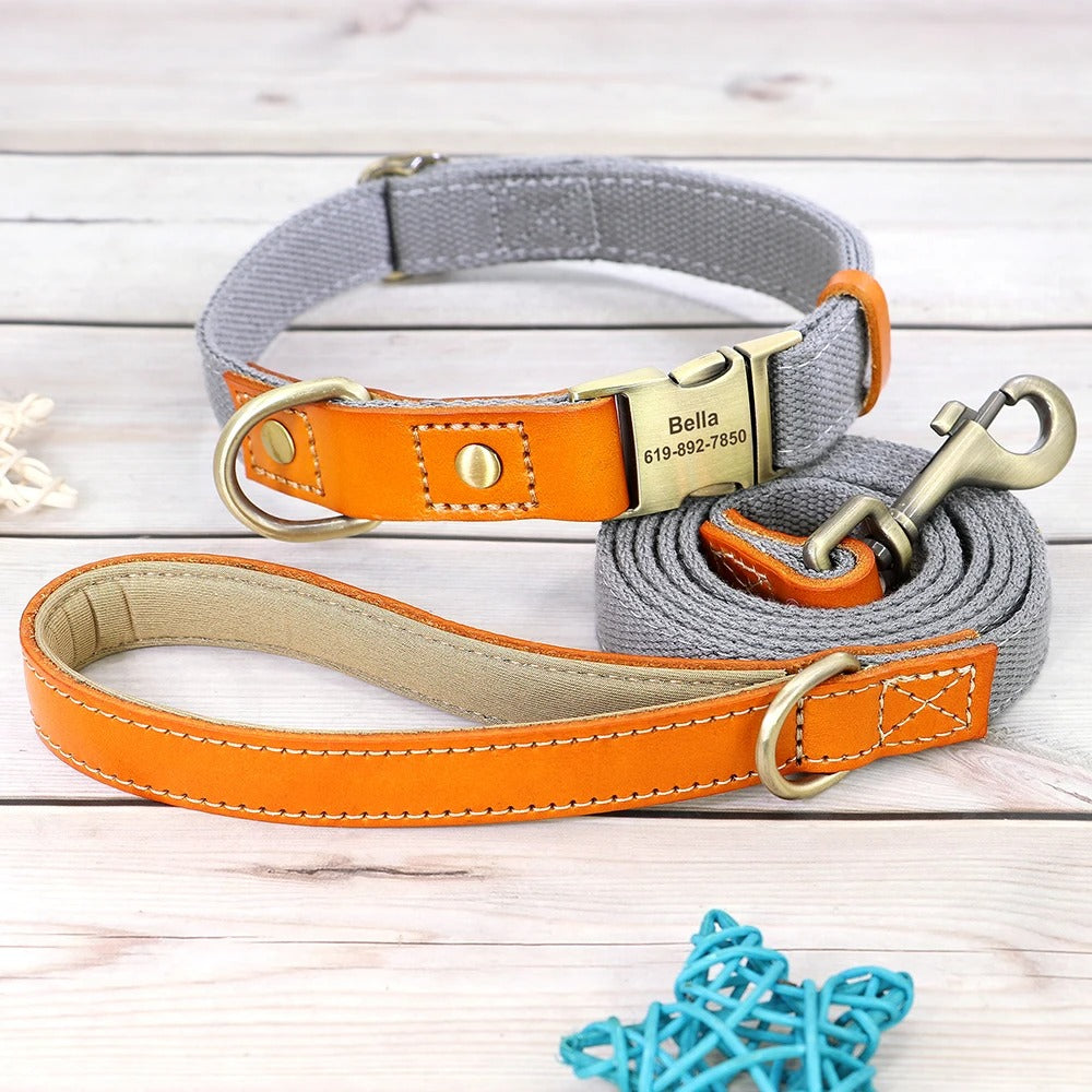 Customizable leather and nylon dog collar and leash set