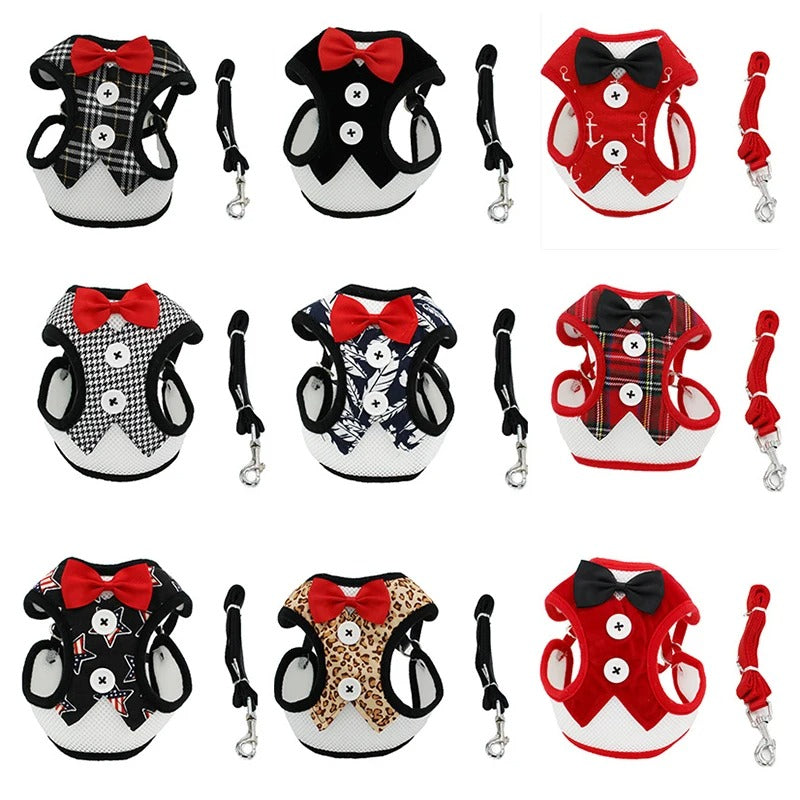 Original harness for small and medium dogs with chest strap and leash.