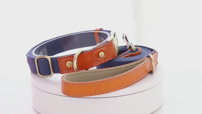 Customizable leather and nylon dog collar and leash set